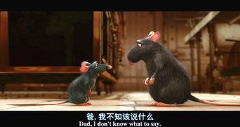 最新爆料老鼠事件新闻,最新老鼠事件引发公众关注，卫生安全问题亟待解决